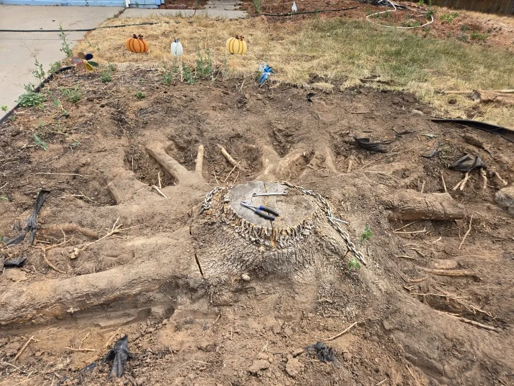 Reliable landscape installation in Aurora, CO - Three Leaf Clover Landscaping