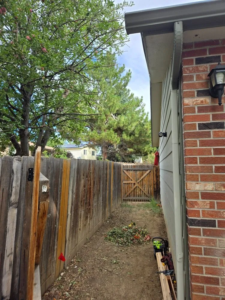 Expert yard cleanup service in Aurora, CO by Three Leaf Clover Landscaping