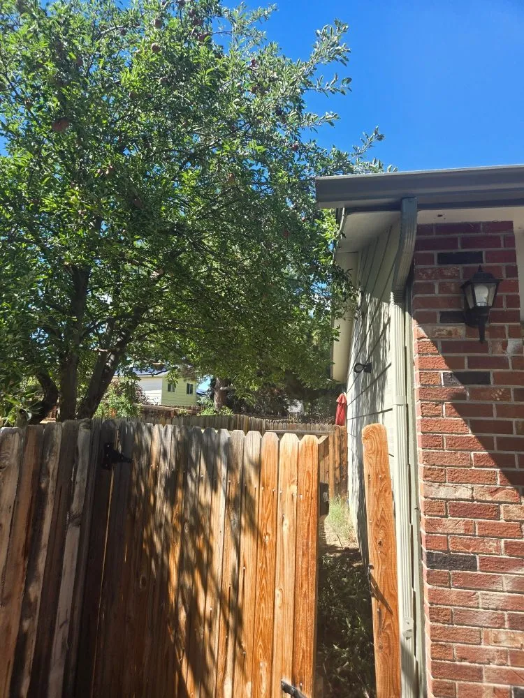 Affordable landscape installation experts serving Aurora, CO - Three Leaf Clover Landscaping