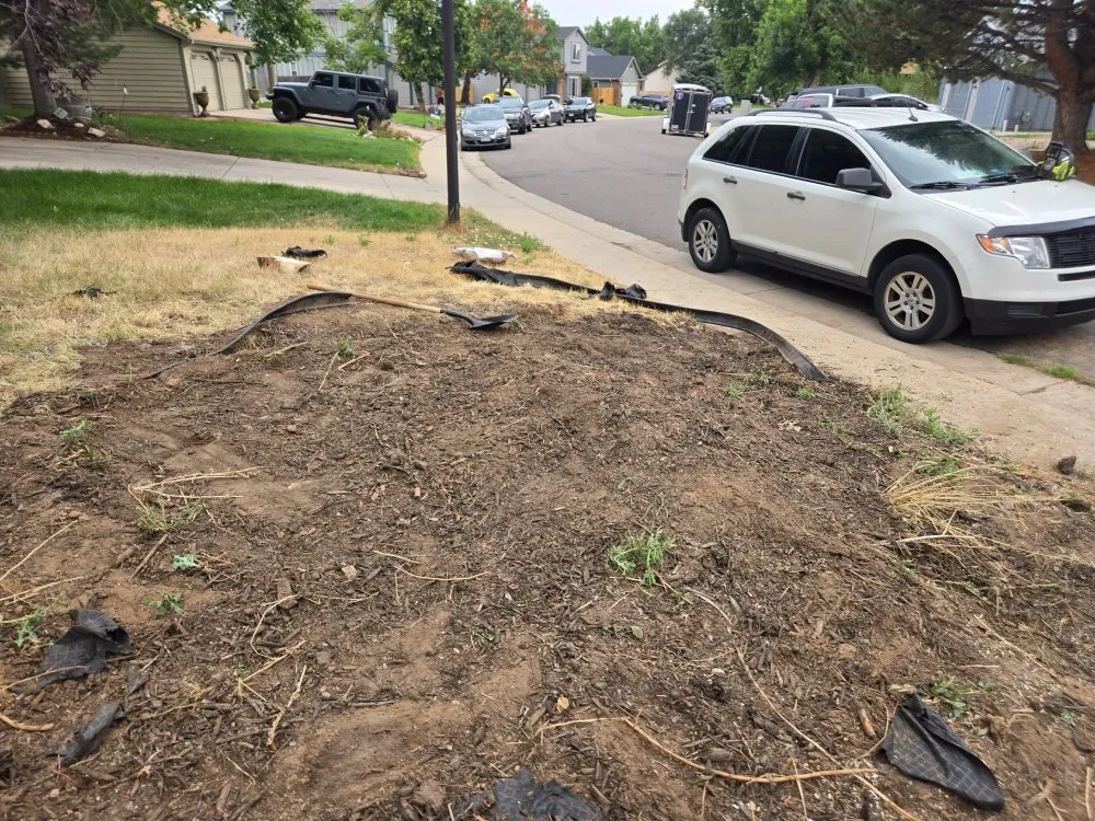 Professional outdoor landscaping experts serving Aurora, CO - Three Leaf Clover Landscaping