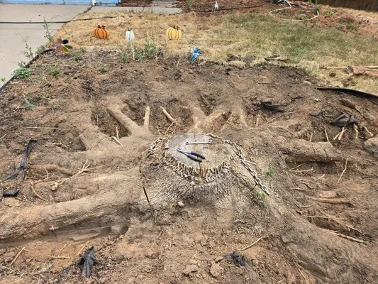 Three Leaf Clover Landscaping Logo