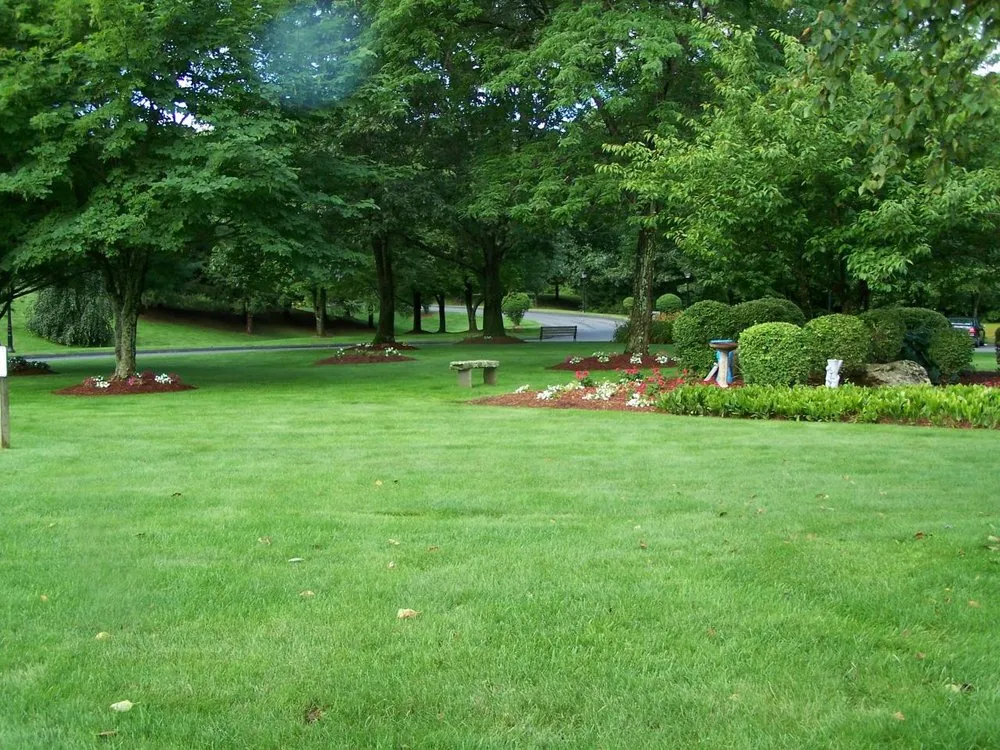 Local yard cleanup service in Terryville, CT by Three Leaf Landscaping