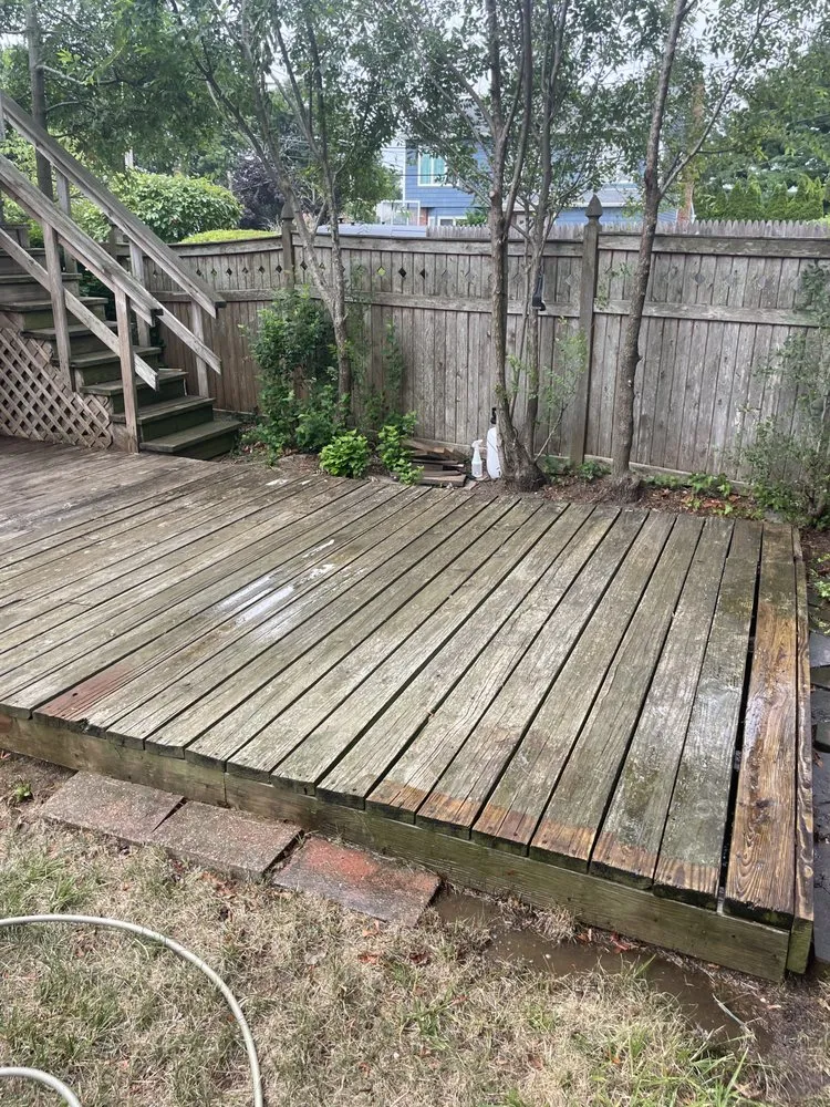 Local yard cleanup service for year-round maintenance in Westbury, NY by Three Leaf Landscaping