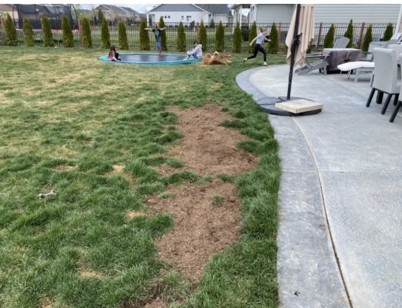 Professional lawn care service in Eagle, ID - Three Leaf Lawn Care