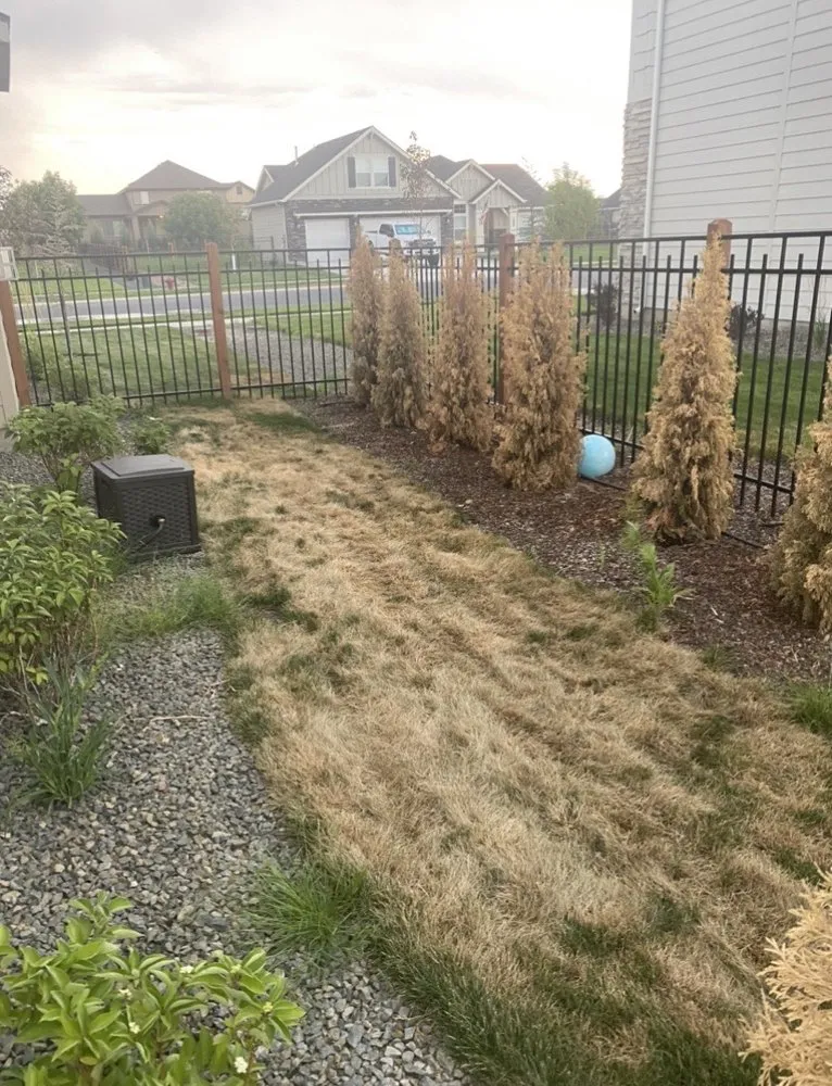 Professional lawn care service in Eagle, ID - Three Leaf Lawn Care