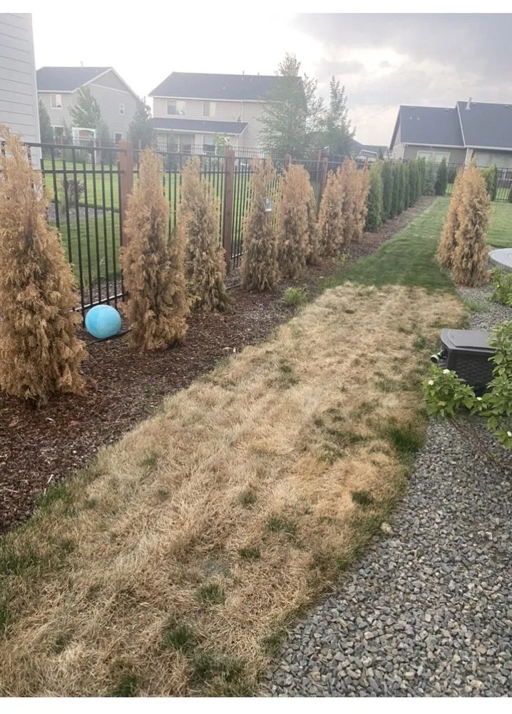 Expert outdoor landscaping in Eagle, ID - Three Leaf Lawn Care