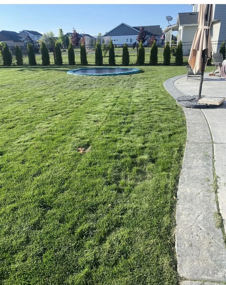 Custom lawn care service experts serving Eagle, ID - Three Leaf Lawn Care