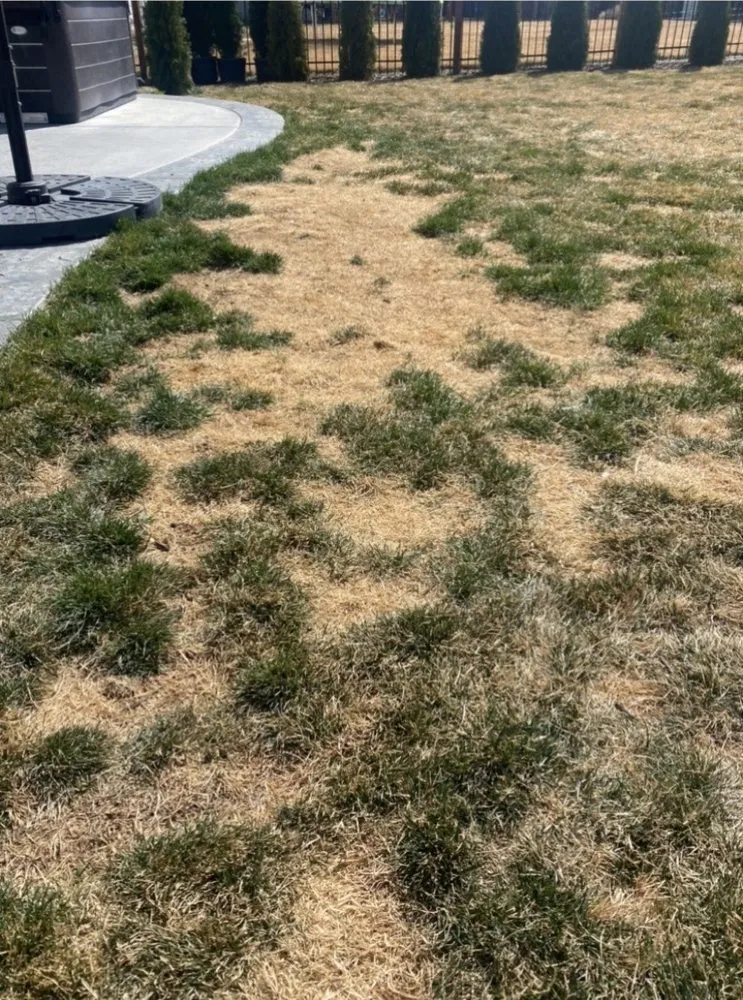 Affordable garden landscaping in Eagle, ID by Three Leaf Lawn Care