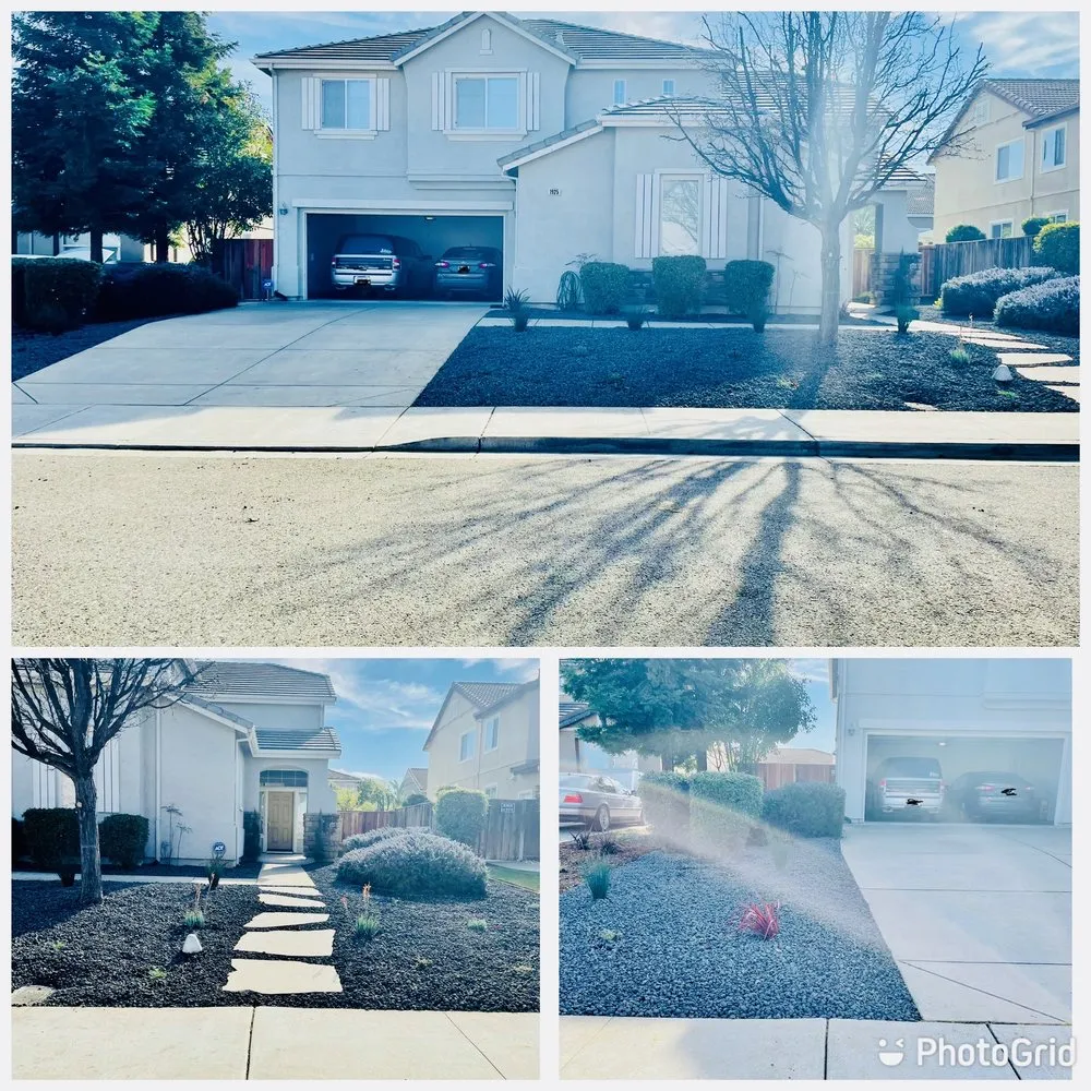 Expert residential landscaping experts serving Antioch, CA - Three Lions Landscape