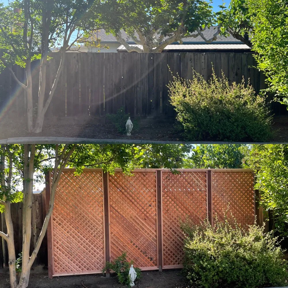 Professional lawn care service in Antioch, CA - Three Lions Landscape