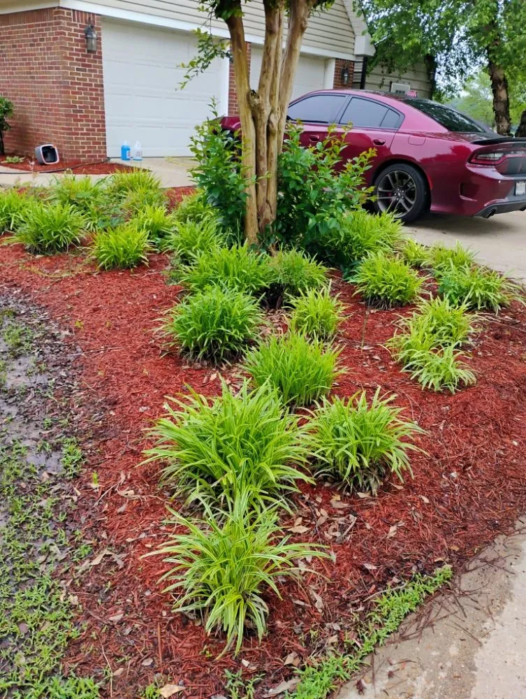 Custom residential landscaping in Starkville, MS by Three M Landscape