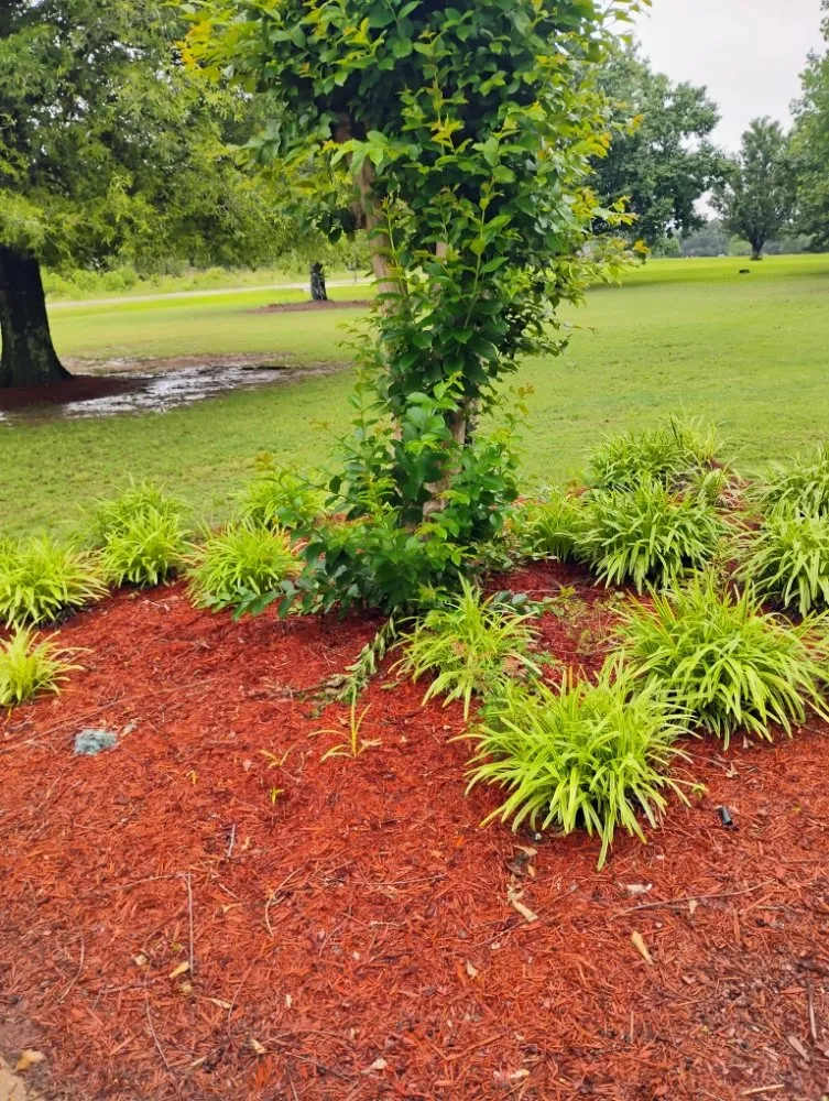 Reliable landscape installation in Starkville, MS - Three M Landscape
