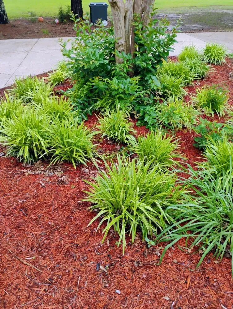 Custom yard maintenance in Starkville, MS - Three M Landscape