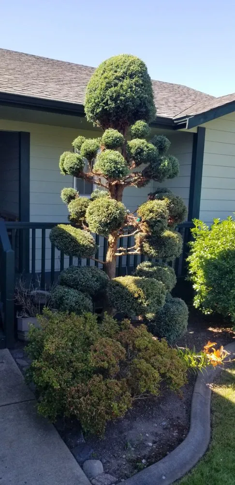 Affordable landscape installation experts serving Oak Harbor, WA - Three Men and a Mower, LLC