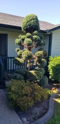 Three Men and a Mower, LLC