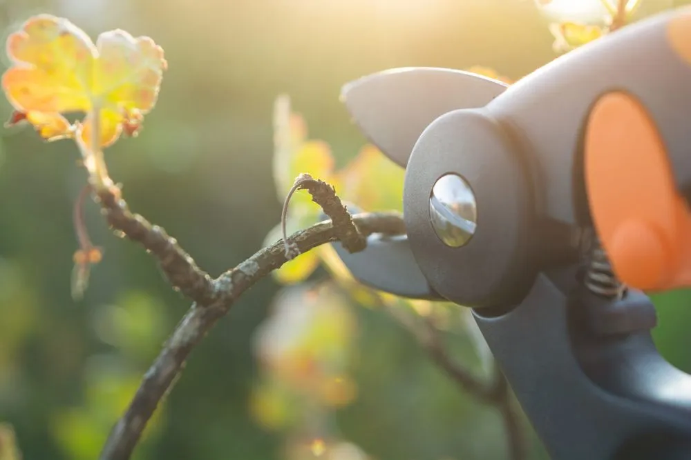 Professional lawn mowing service in Exton, PA - Three Mountains Landscaping and Snow Removal