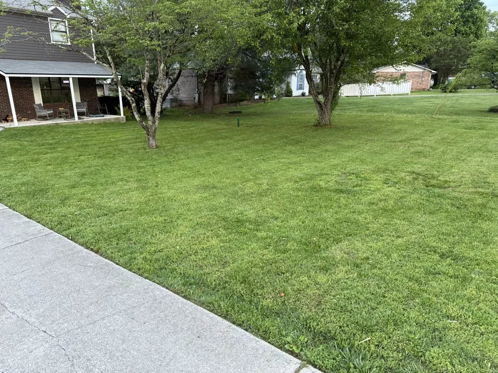 Top-rated landscaping services experts serving Powell, TN - Three Nails Mowing and Lawncare