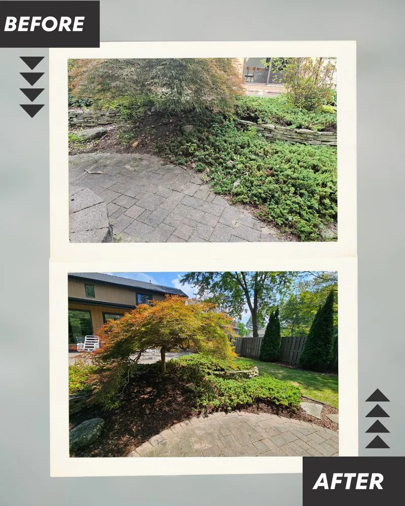 Professional lawn care service near you across Freeland, MI - Three Oaks