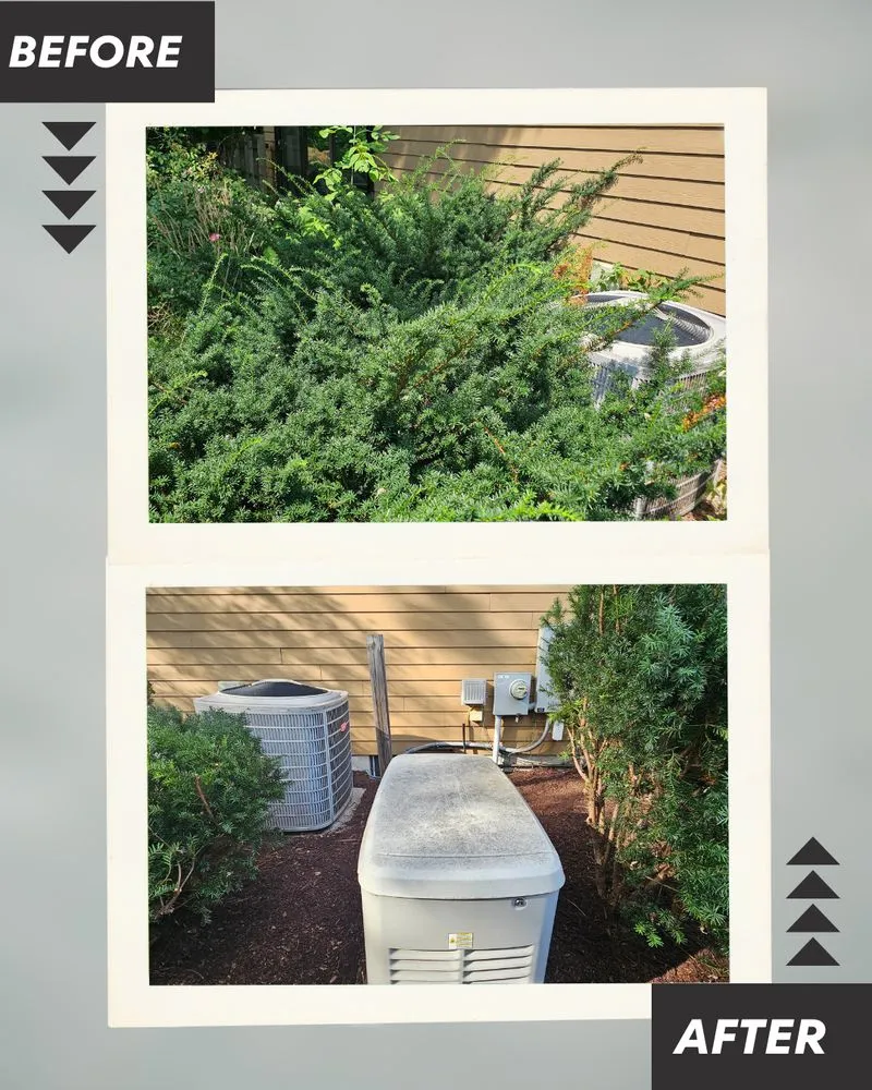 Trusted lawn care service for year-round maintenance in Freeland, MI by Three Oaks