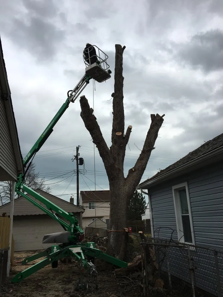 Expert landscaping services in Roseville, MI - Three Oaks Landscaping