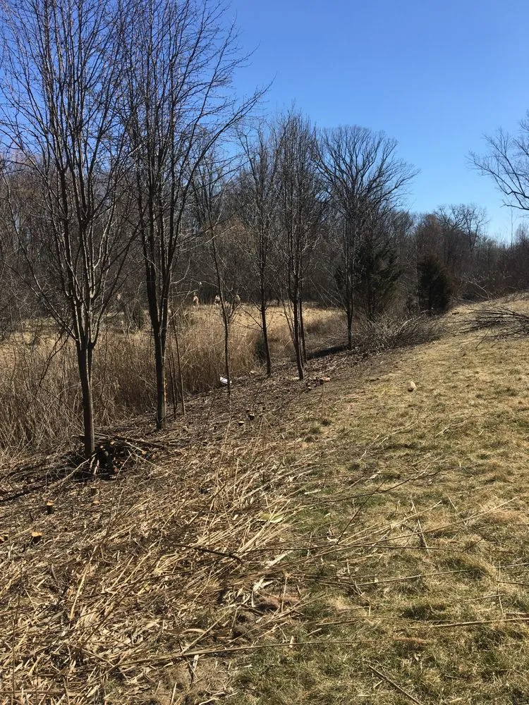 Professional landscaping services in Roseville, MI - Three Oaks Landscaping