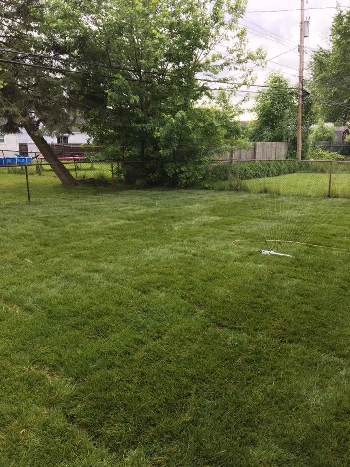 Affordable yard maintenance experts serving Roseville, MI - Three Oaks Landscaping