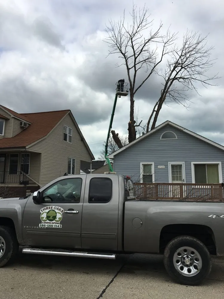 Expert lawn care service in Roseville, MI - Three Oaks Landscaping