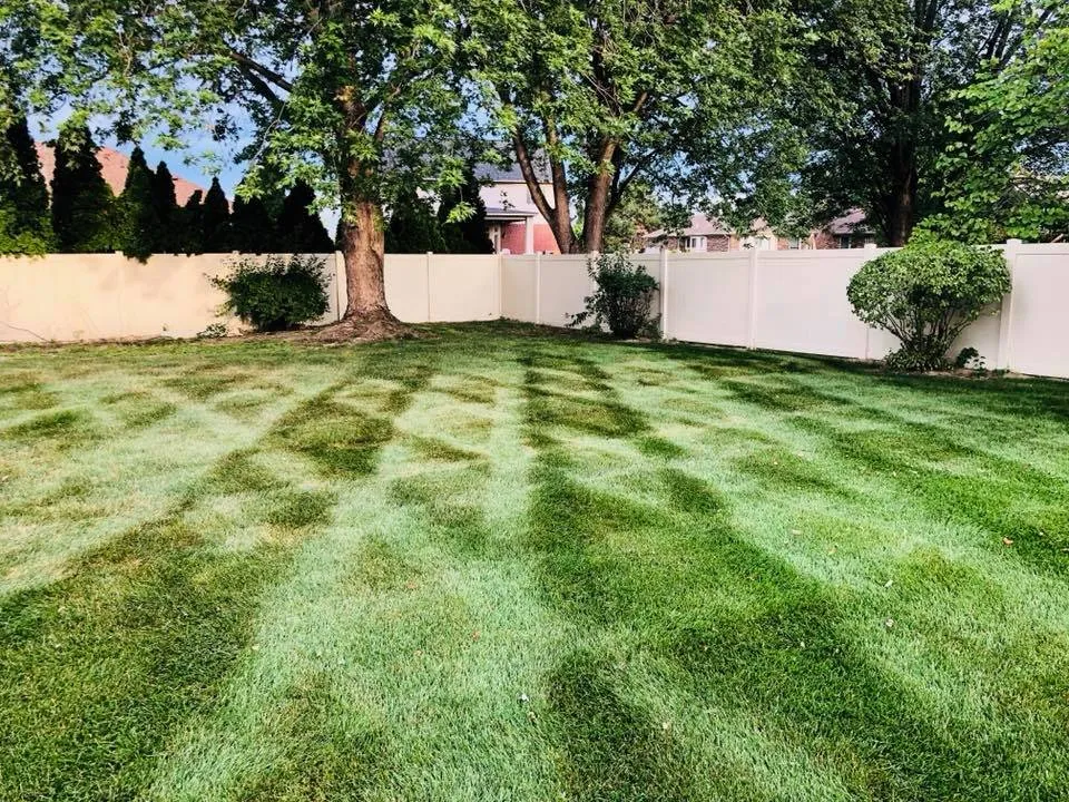 Affordable residential landscaping in Roseville, MI - Three Oaks Landscaping