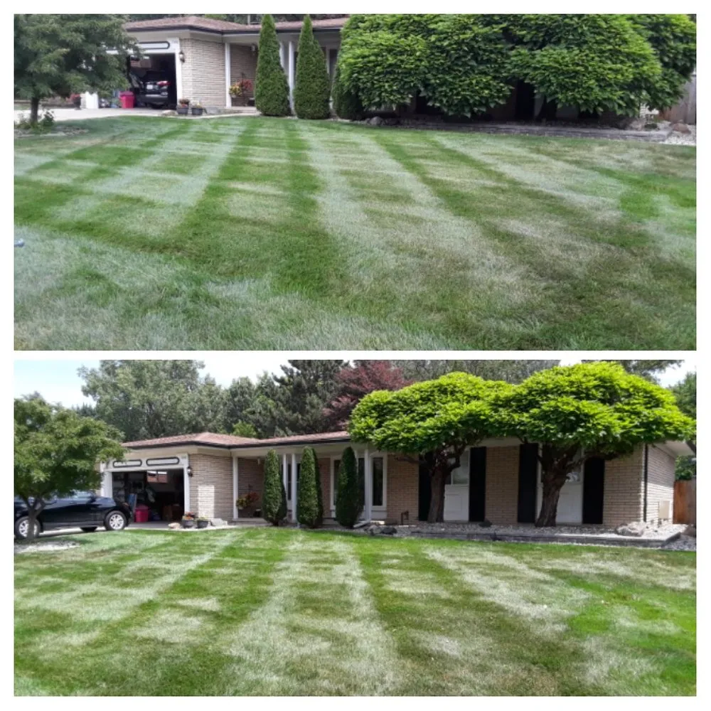 Reliable residential landscaping with custom design across Roseville, MI - Three Oaks Landscaping