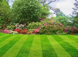 Expert lawn care service for year-round maintenance across Tulsa, OK - Three Oaks Lawn Maintenance