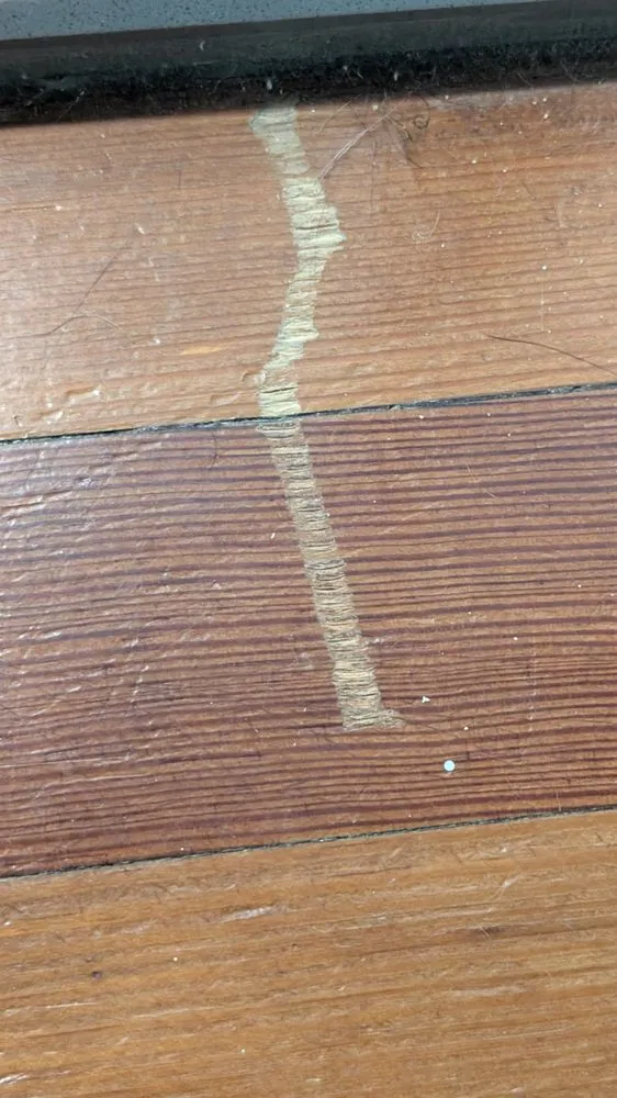 Custom landscape installation for beautiful yards across Orange, NJ - Three Oranges