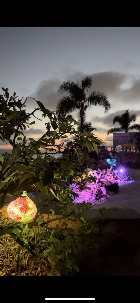 Top-rated landscape design for year-round maintenance across San Clemente, CA - Three Palms Services