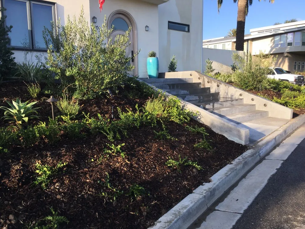 Expert yard maintenance in San Clemente, CA - Three Palms Services