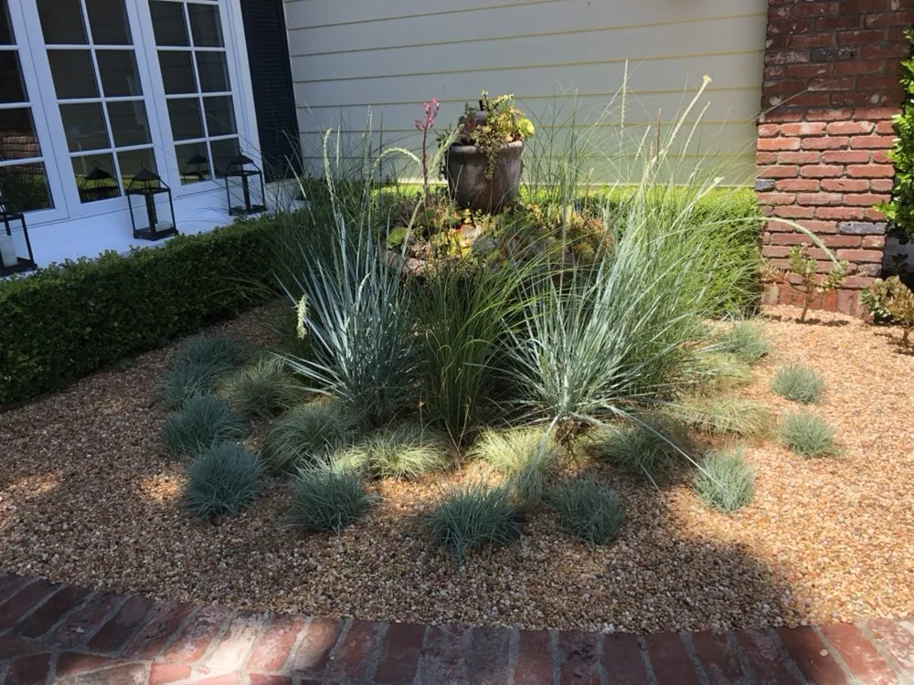 Professional landscape design in San Clemente, CA by Three Palms Services