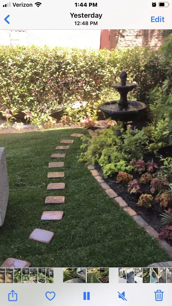 Top-rated lawn care service for beautiful yards in San Clemente, CA by Three Palms Services