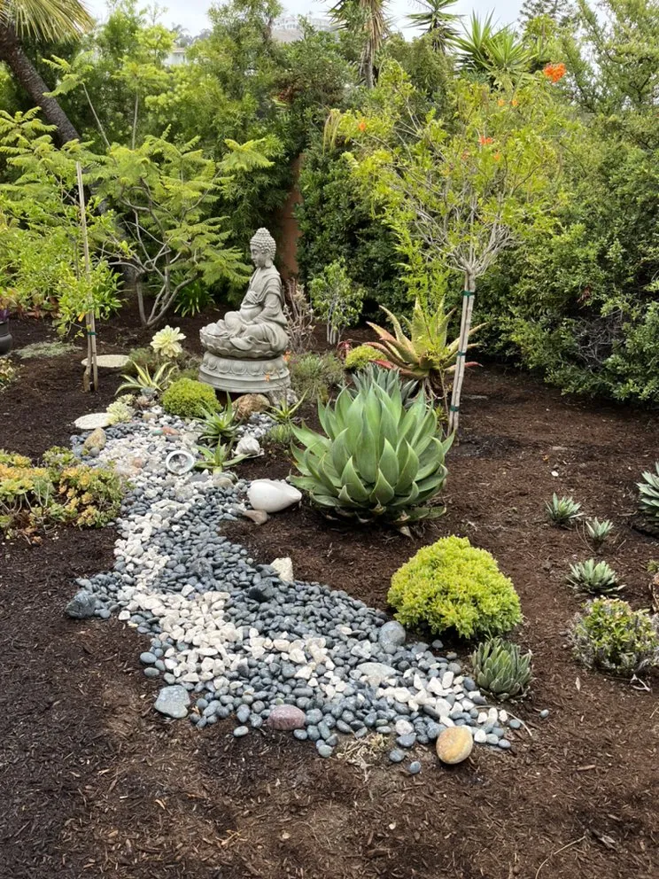 Reliable landscape design for beautiful yards in San Clemente, CA by Three Palms Services