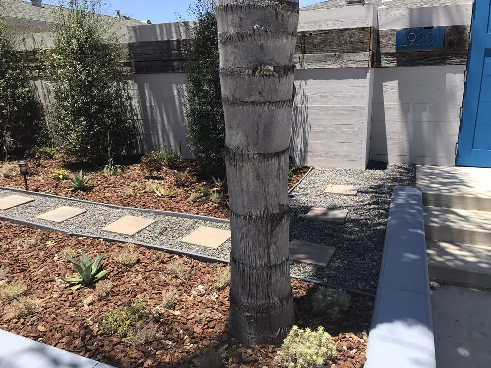 Affordable landscape design for residential properties across San Clemente, CA - Three Palms Services