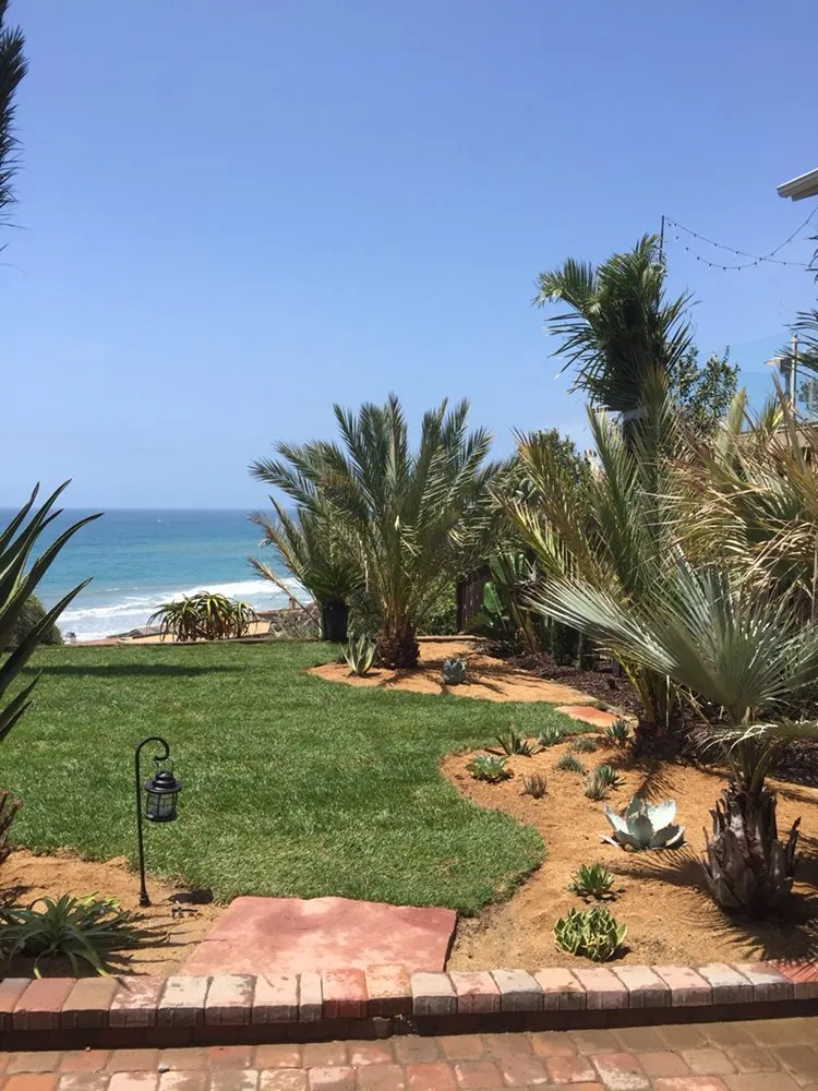 Custom outdoor landscaping experts serving San Clemente, CA - Three Palms Services