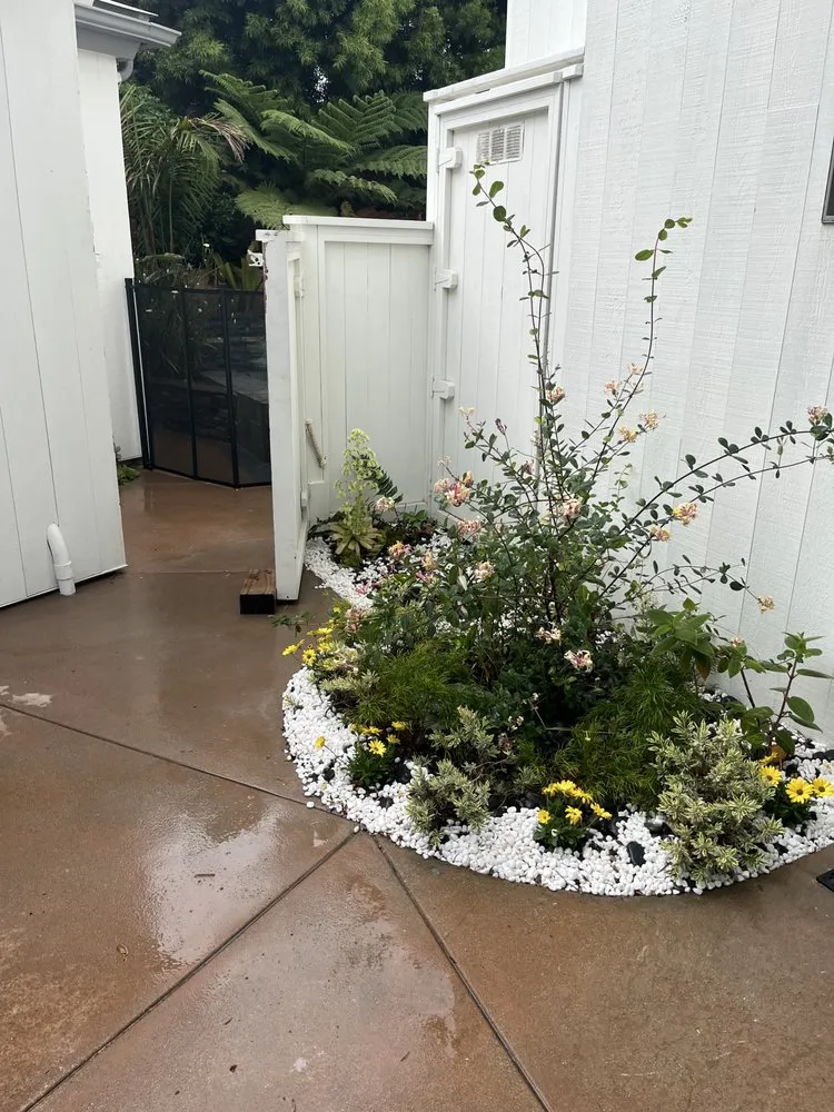 Custom yard maintenance near you across San Clemente, CA - Three Palms Services