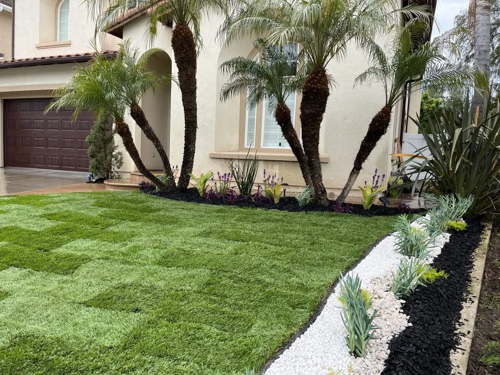 Top-rated landscape installation for year-round maintenance across San Clemente, CA - Three Palms Services