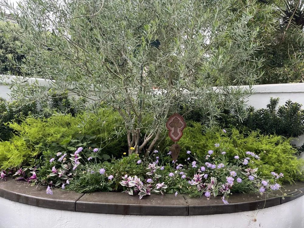 Top-rated landscape design for homes in San Clemente, CA by Three Palms Services