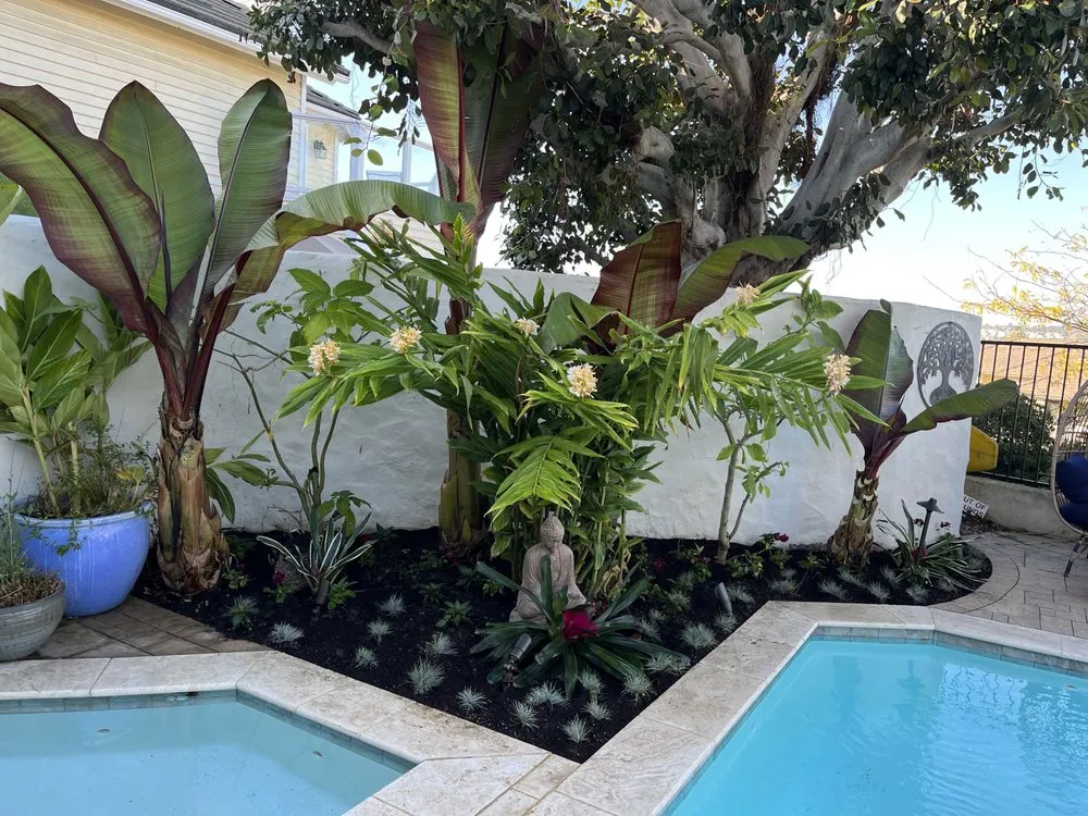 Expert yard maintenance in San Clemente, CA - Three Palms Services