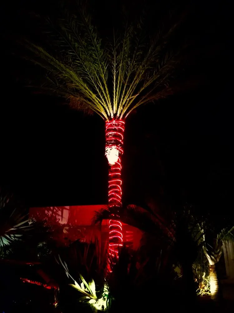 Local landscaping services in San Clemente, CA - Three Palms Services