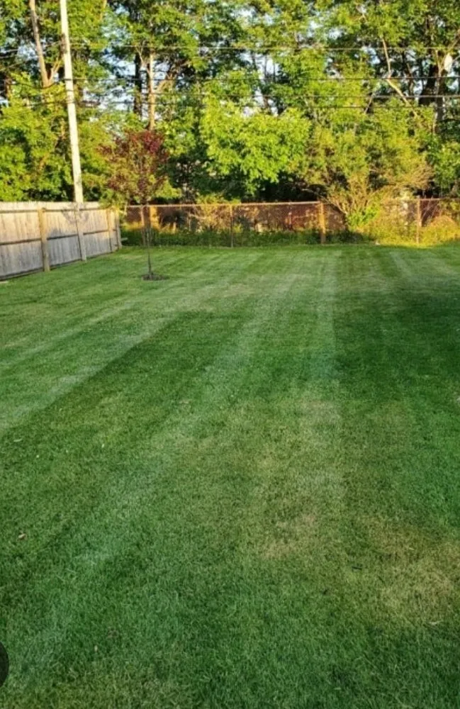 Professional yard cleanup service for homes across Seagoville, TX - Three Pillars Landscaping