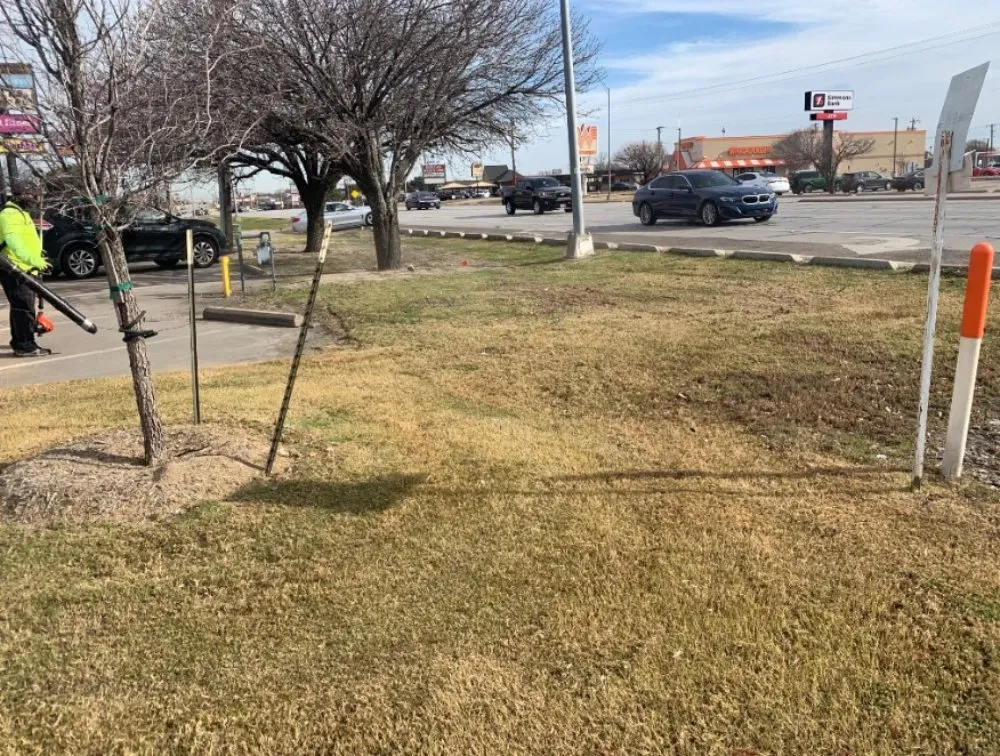 Affordable yard maintenance in Seagoville, TX by Three Pillars Landscaping