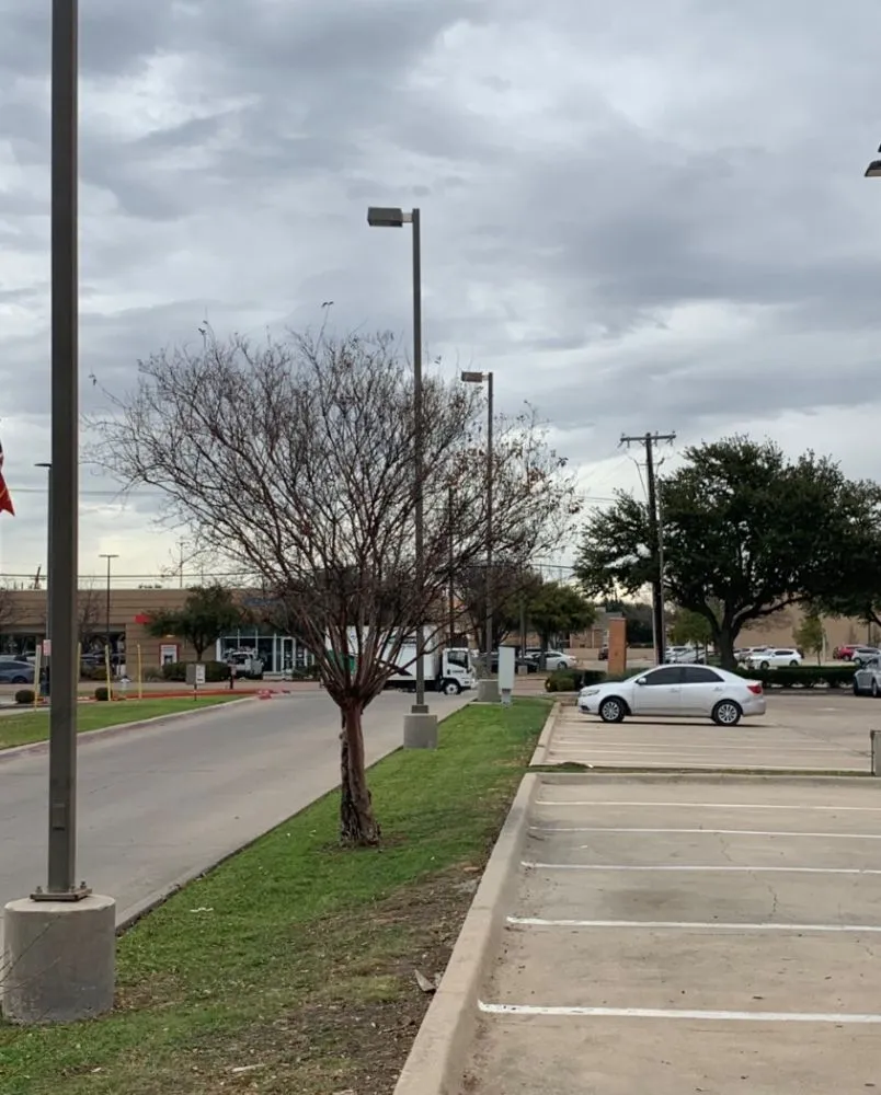 Custom yard cleanup service in Seagoville, TX by Three Pillars Landscaping