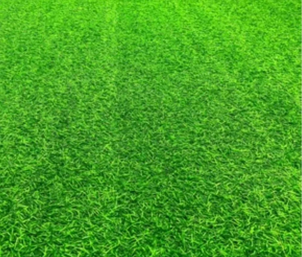 Professional lawn mowing service near you in Seagoville, TX by Three Pillars Landscaping