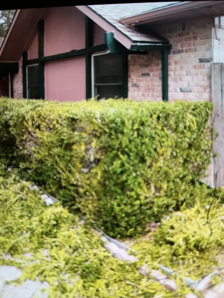 Affordable landscaping services with custom design across Seagoville, TX - Three Pillars Landscaping