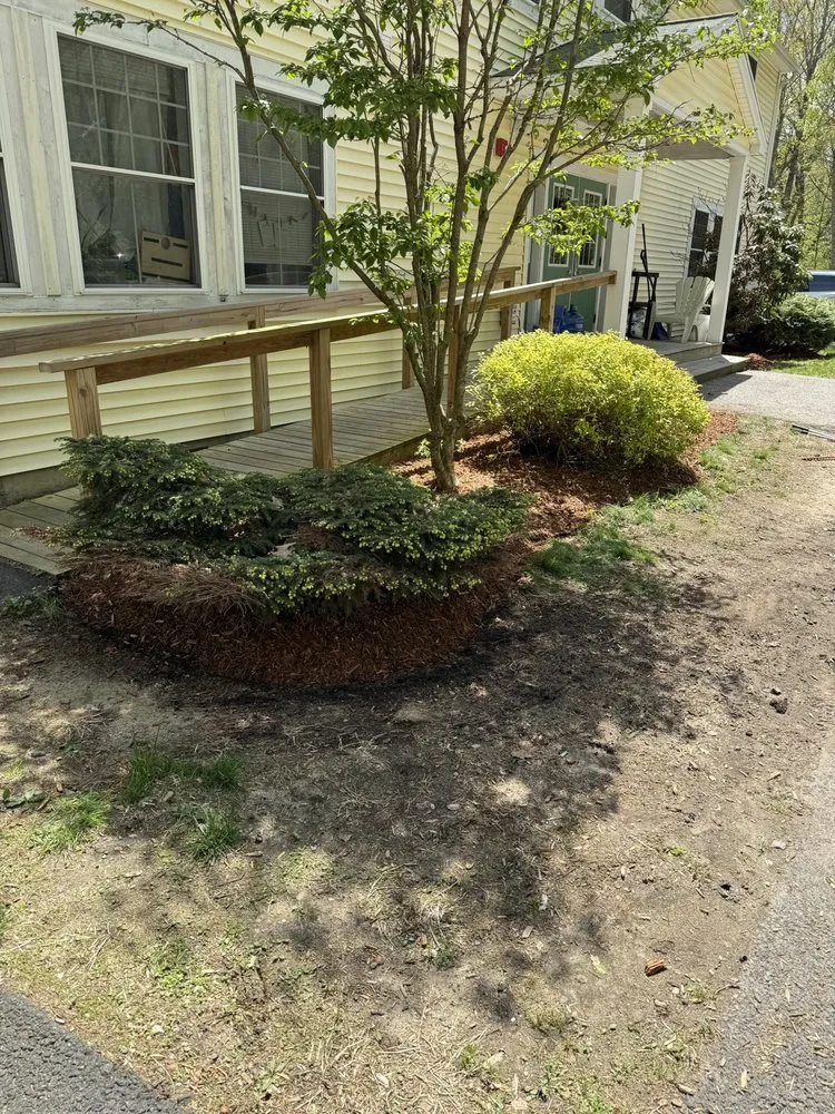 Expert landscaping services for homes across York, ME - Three Pines Property Services