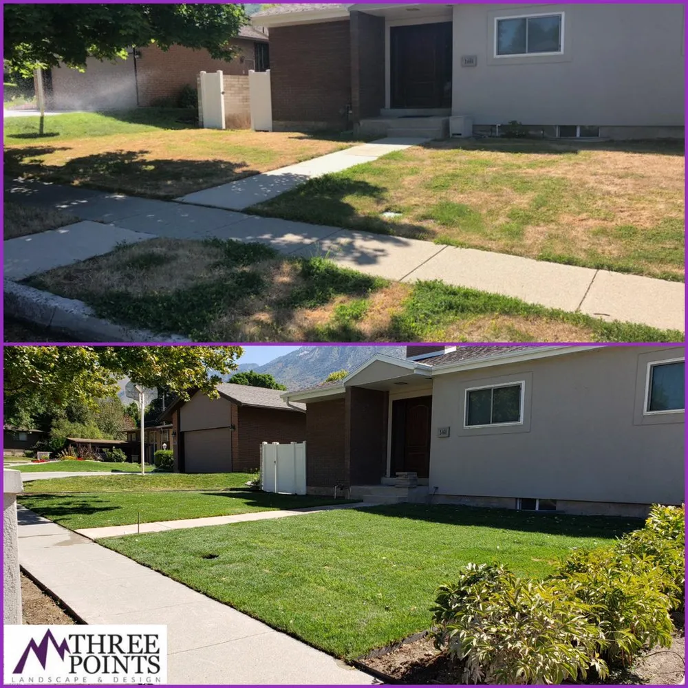 Affordable yard cleanup service in Bluffdale, UT - Three Points Landscape and Design